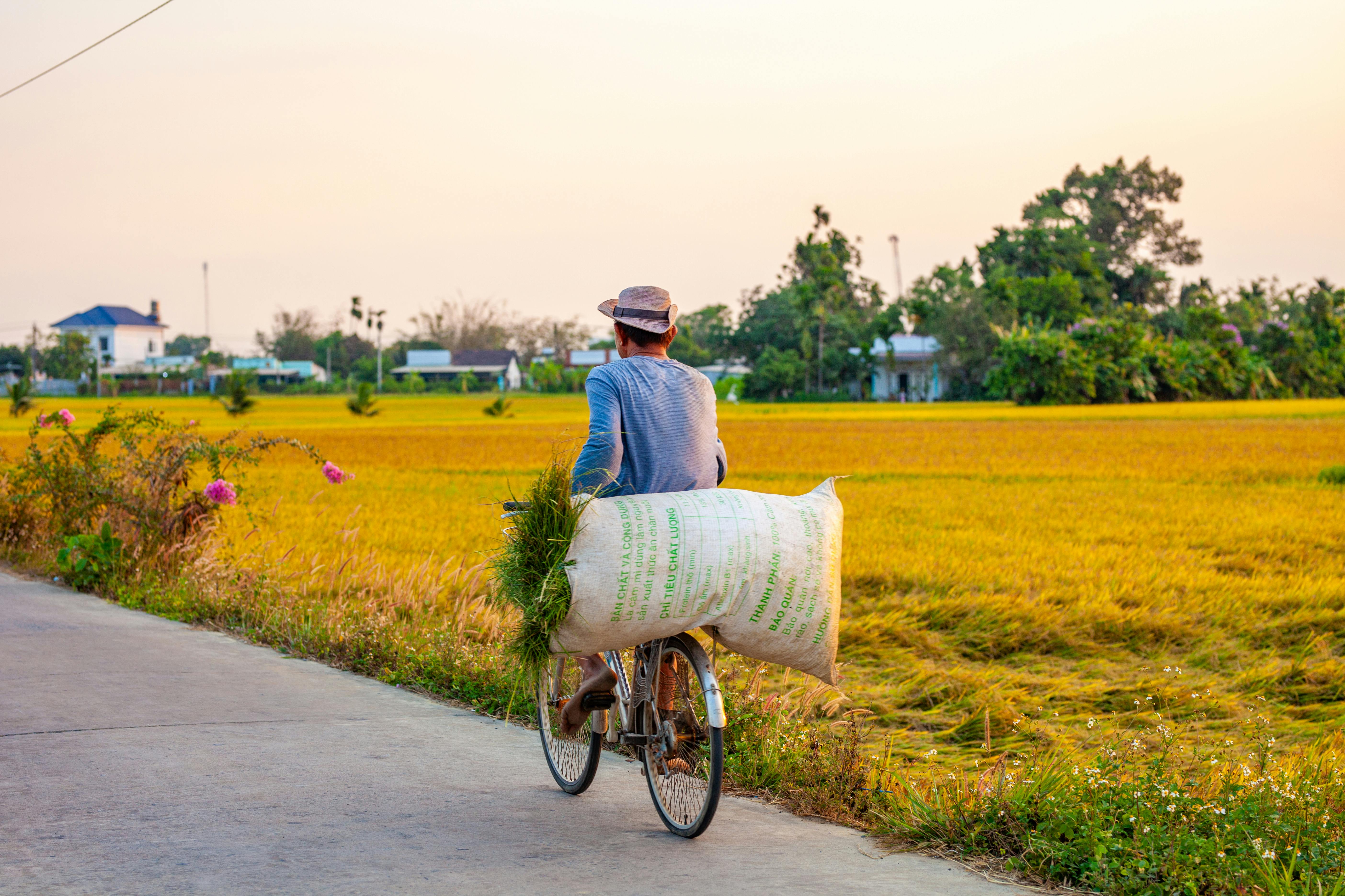 科学施肥小技巧，省肥高效不浪费